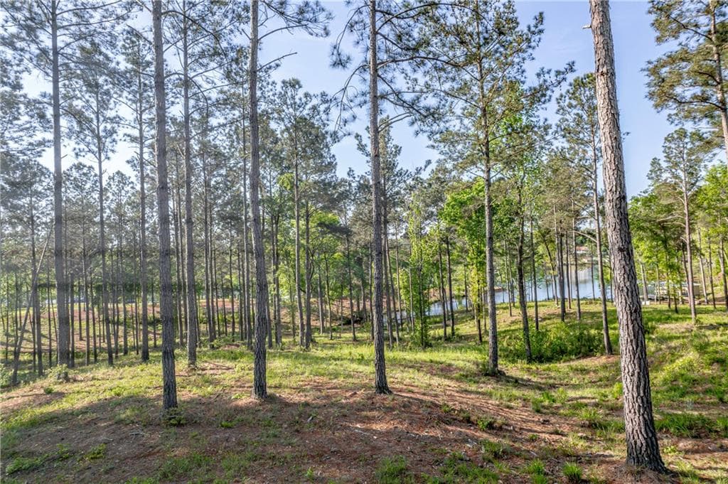 unimproved land for sale at 203 Falls Lane, Milledgeville, GA 31061 — photo 3