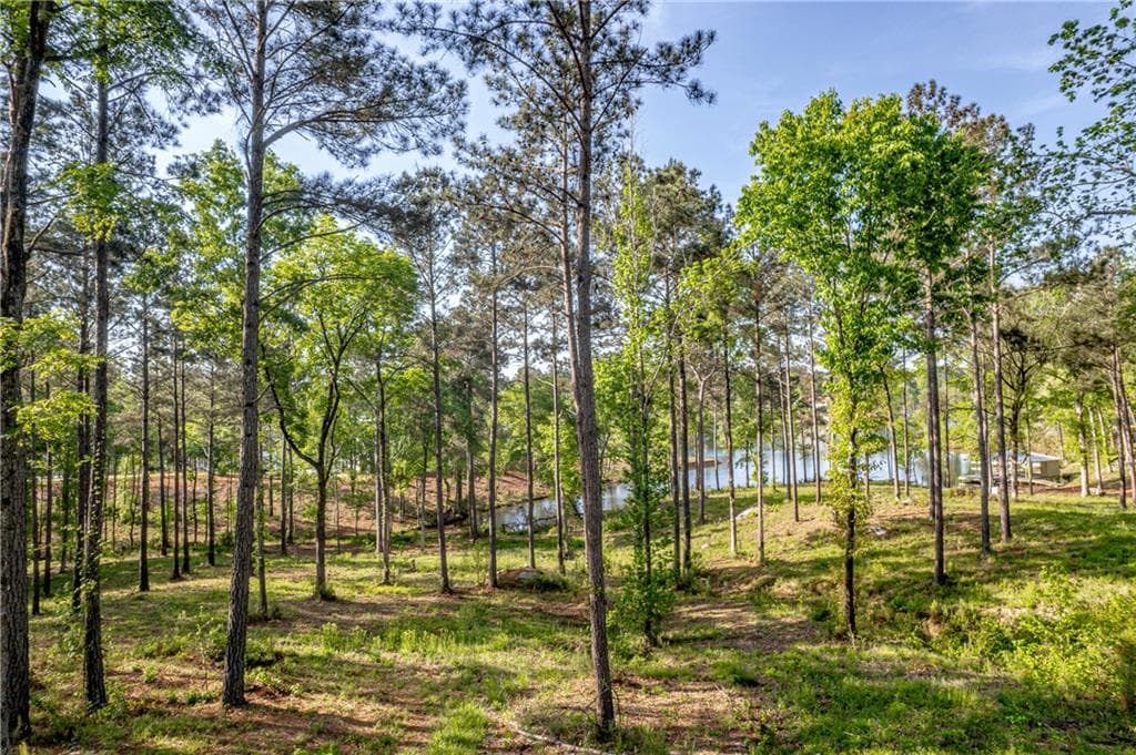 unimproved land for sale at 203 Falls Lane, Milledgeville, GA 31061 — photo 4