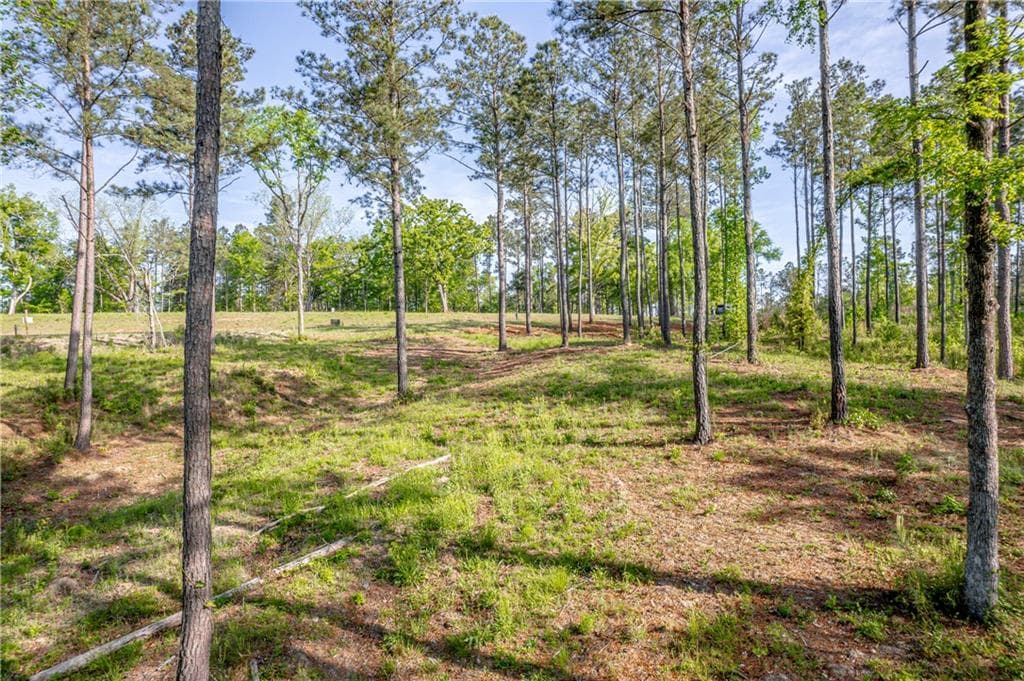 unimproved land for sale at 203 Falls Lane, Milledgeville, GA 31061 — photo 6