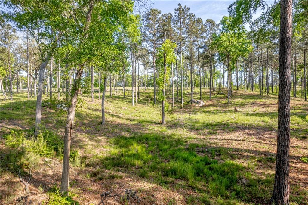 unimproved land for sale at 203 Falls Lane, Milledgeville, GA 31061 — photo 9