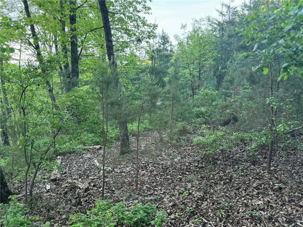 unimproved land for sale at 1181 Jewel Court, Ranger, GA 30734 — photo 3