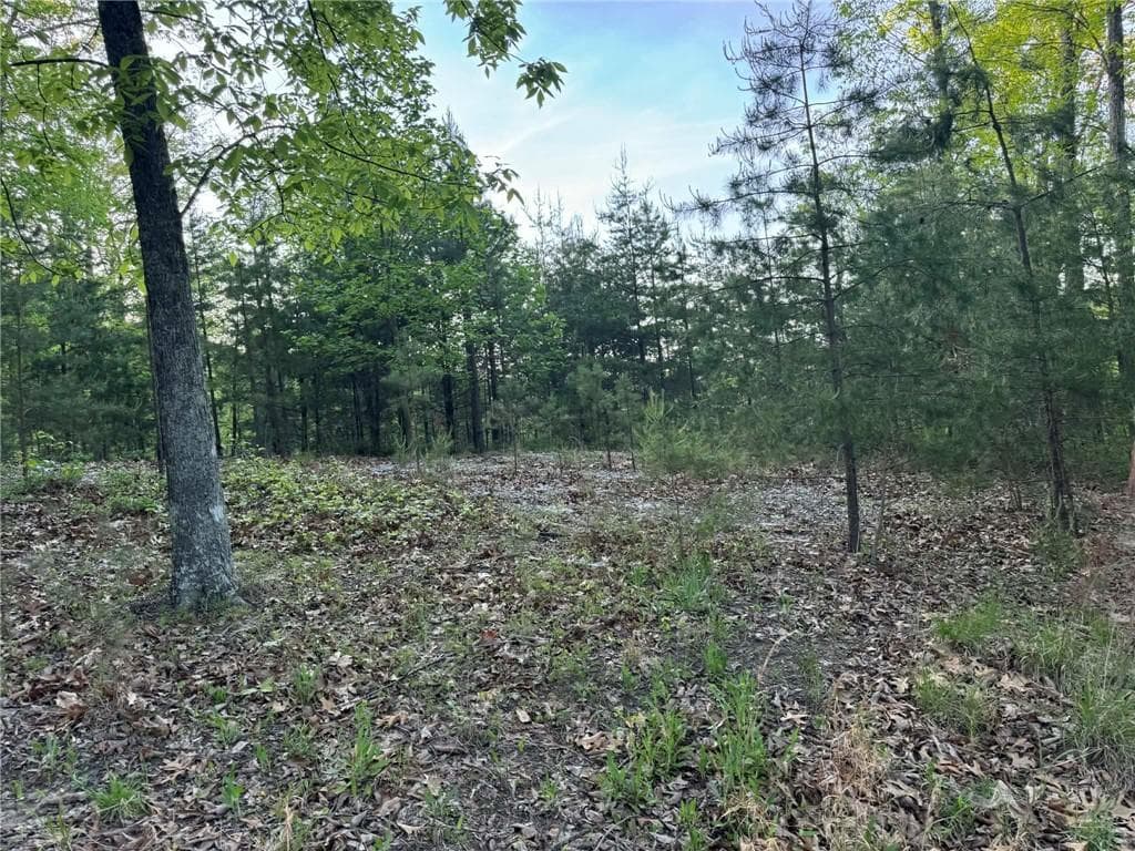 unimproved land for sale at 1181 Jewel Court, Ranger, GA 30734 — photo 4