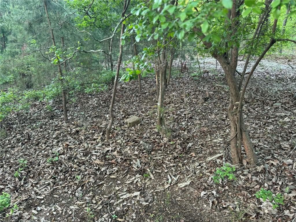 unimproved land for sale at 1181 Jewel Court, Ranger, GA 30734 — photo 5