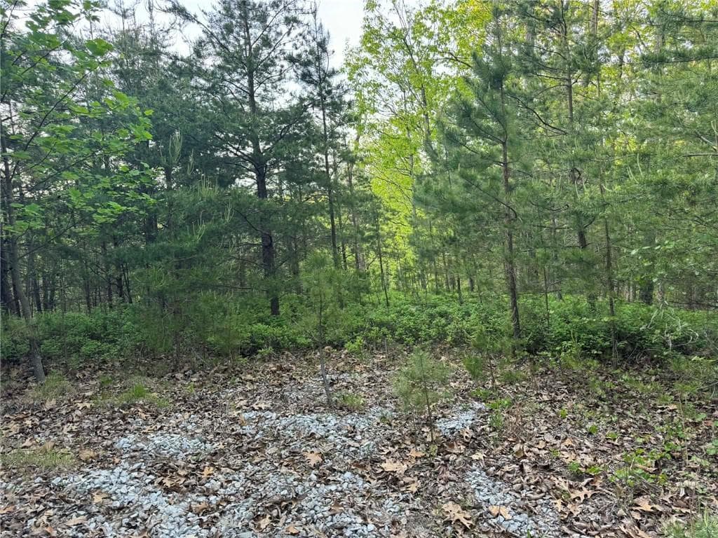 unimproved land for sale at 1181 Jewel Court, Ranger, GA 30734 — photo 6