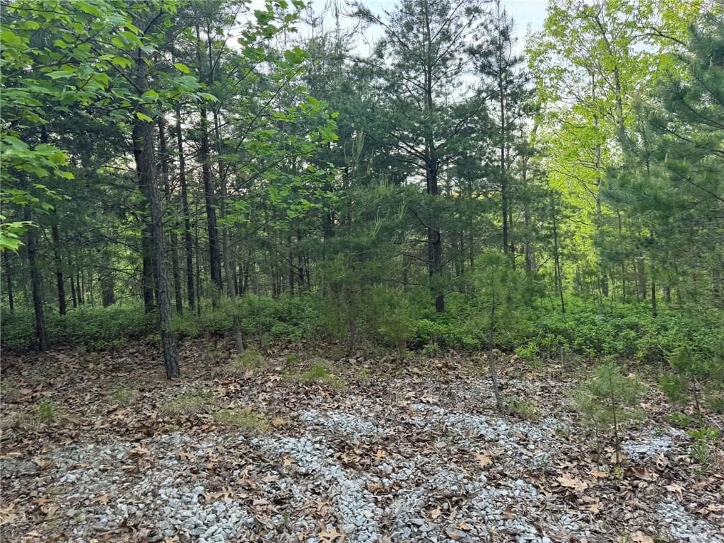 unimproved land for sale at 1181 Jewel Court, Ranger, GA 30734 — photo 7