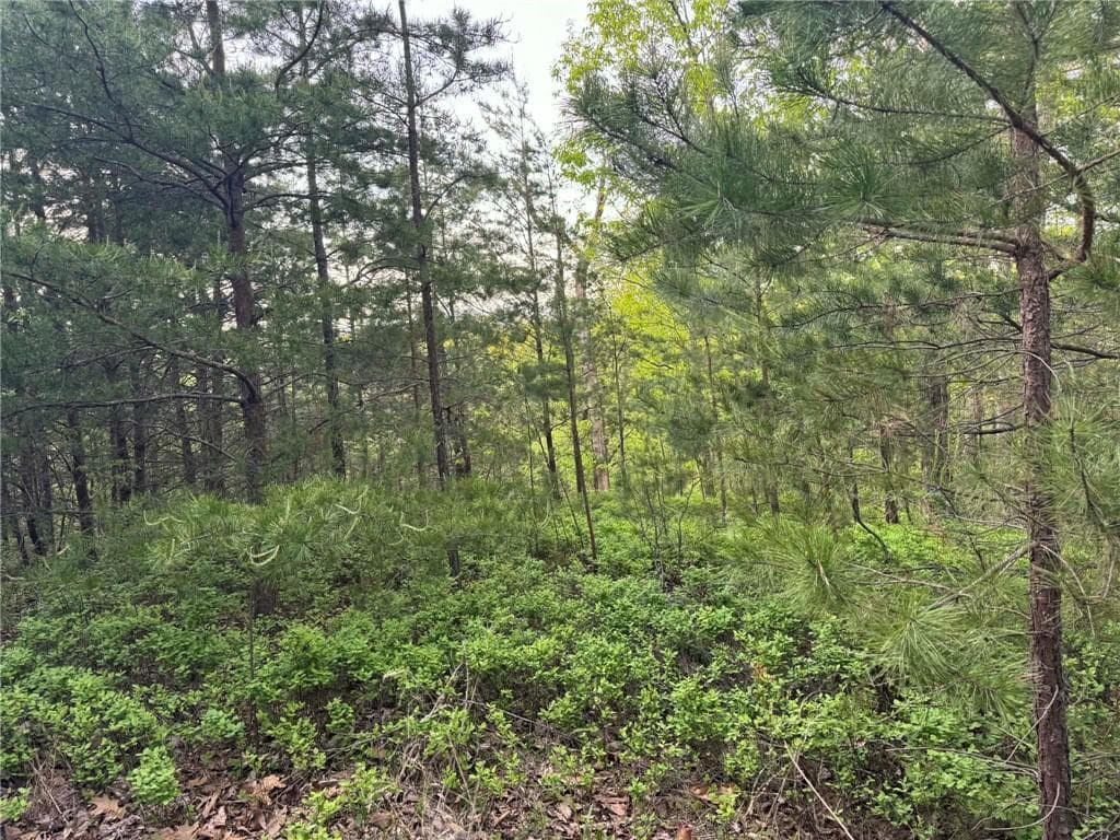 unimproved land for sale at 1181 Jewel Court, Ranger, GA 30734 — photo 8