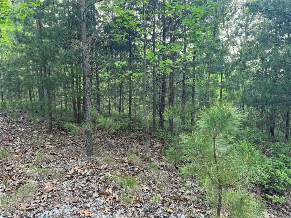 unimproved land for sale at 1181 Jewel Court, Ranger, GA 30734 — photo 9