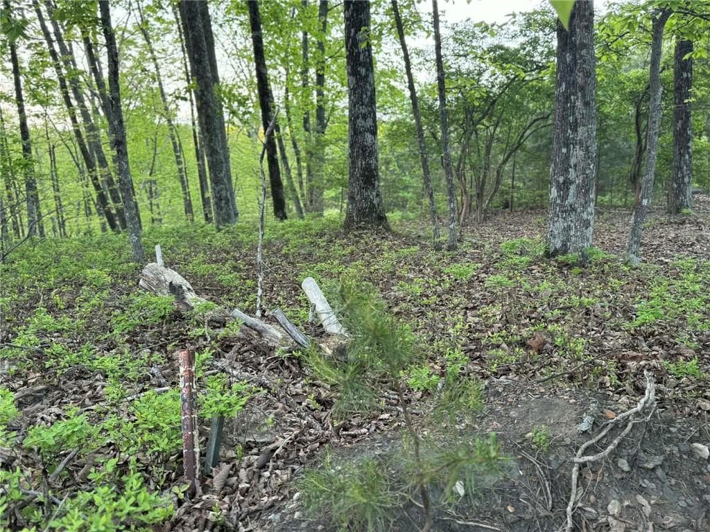 unimproved land for sale at 1181 Jewel Court, Ranger, GA 30734 — photo 10