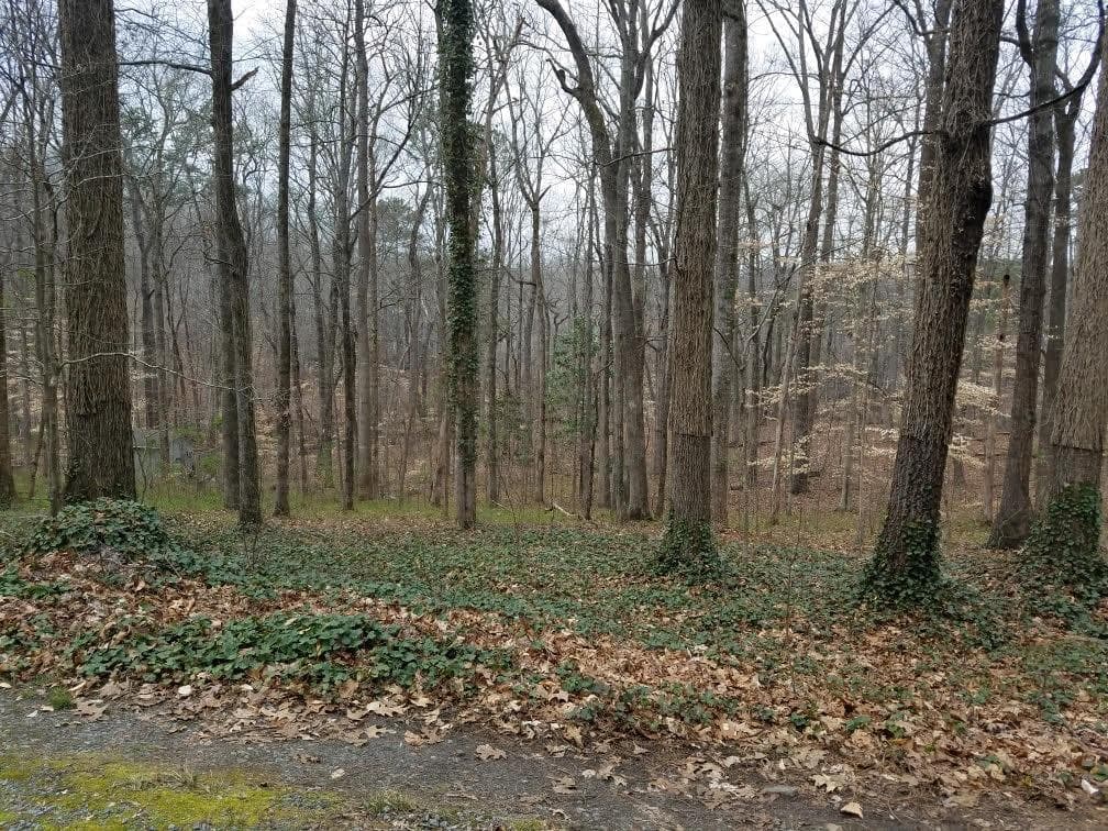 unimproved land for sale at 4633 Post Oak Tritt Road, Marietta, GA 30062 — photo 1 of 7