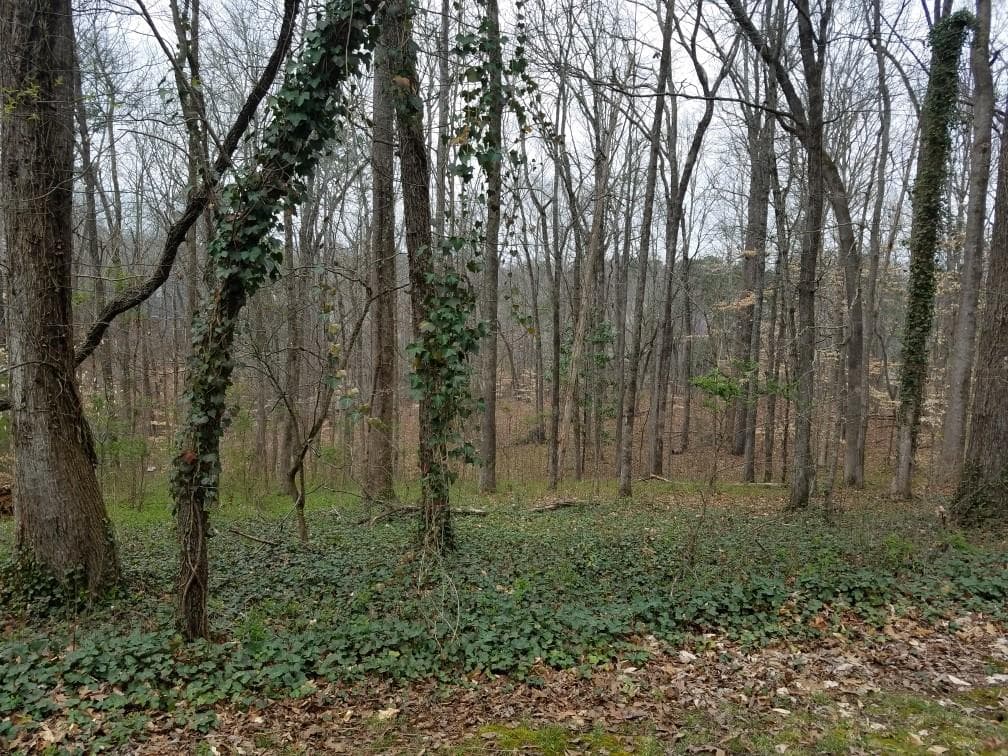 unimproved land for sale at 4633 Post Oak Tritt Road, Marietta, GA 30062 — photo 3