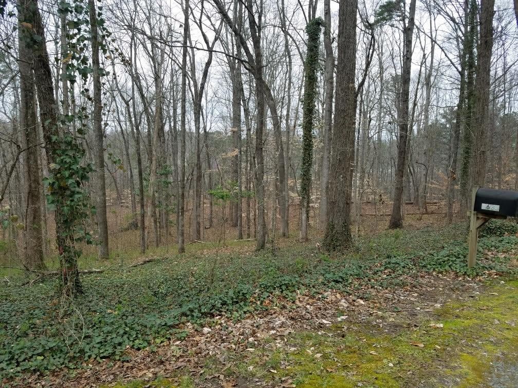 unimproved land for sale at 4633 Post Oak Tritt Road, Marietta, GA 30062 — photo 4