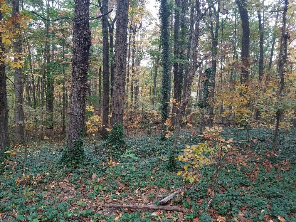 unimproved land for sale at 4633 Post Oak Tritt Road, Marietta, GA 30062 — photo 6