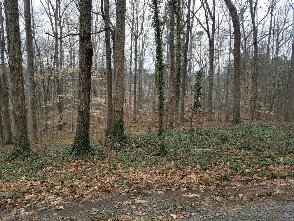 unimproved land for sale at 4633 Post Oak Tritt Road, Marietta, GA 30062 — photo 7