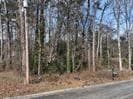 unimproved land for sale at 4940 Westridge Lane, Powder Springs, GA 30127 — photo 2