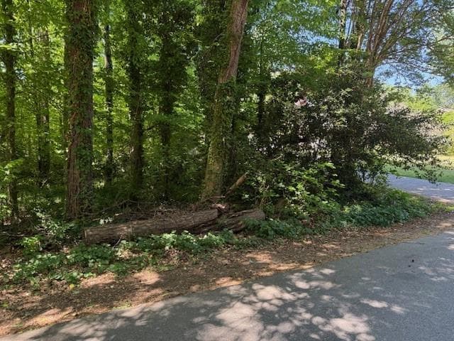 unimproved land for sale at 0 Owen Circle, Sugar Hill, GA 30518 — photo 2