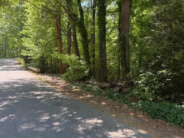 unimproved land for sale at 0 Owen Circle, Sugar Hill, GA 30518 — photo 3