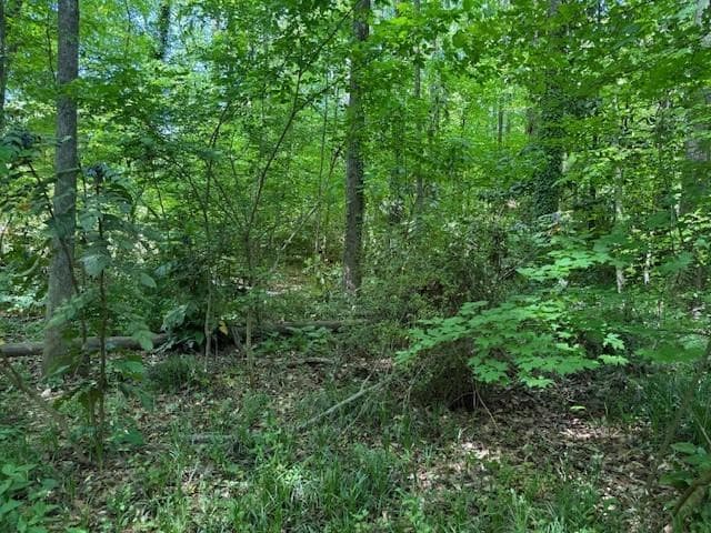 unimproved land for sale at 0 Owen Circle, Sugar Hill, GA 30518 — photo 5