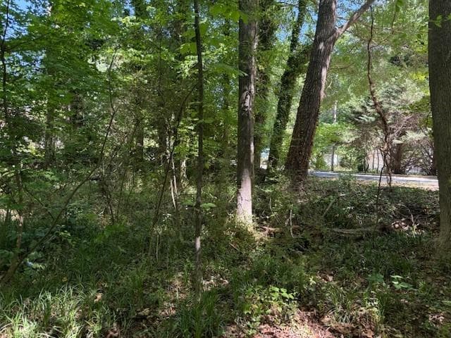 unimproved land for sale at 0 Owen Circle, Sugar Hill, GA 30518 — photo 6