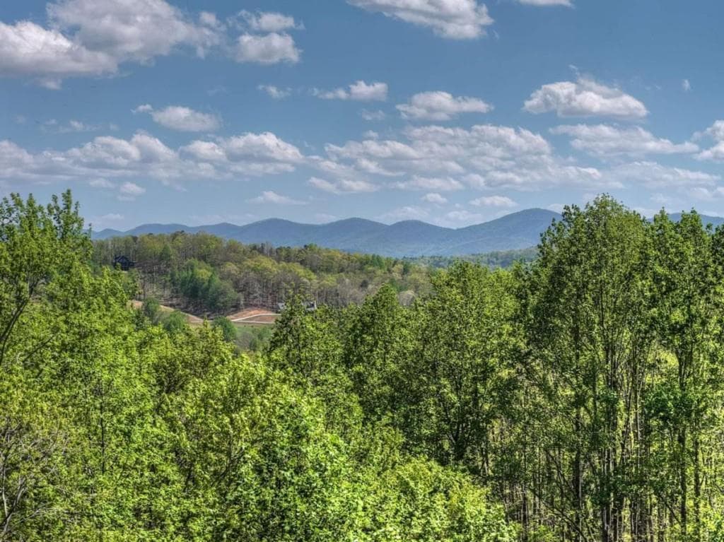 3 bedroom, 4 bathroom, 2,868 sq ft single family residence for sale at 315 Blue Berry Ridge, Morganton, GA 30560 — photo 2