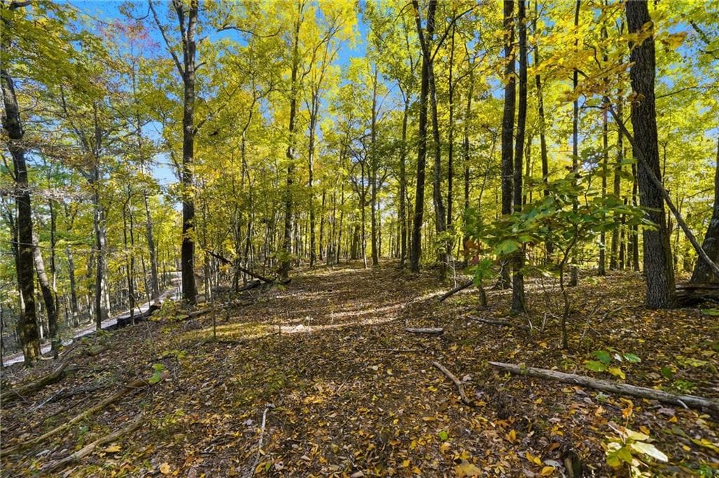 other under contract at 1500 Sunset Trail, Talking Rock, GA 30175 — photo 2