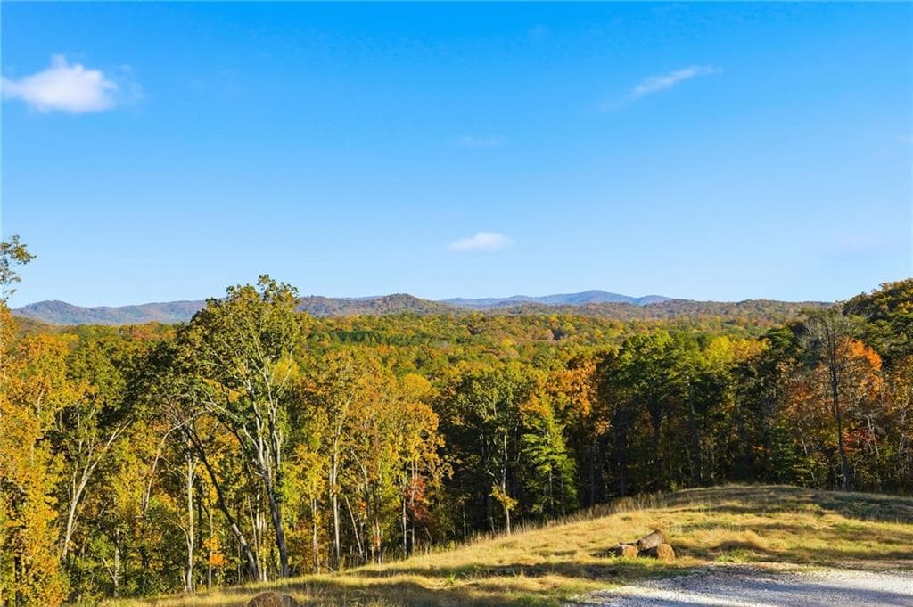 other under contract at 1500 Sunset Trail, Talking Rock, GA 30175 — photo 3