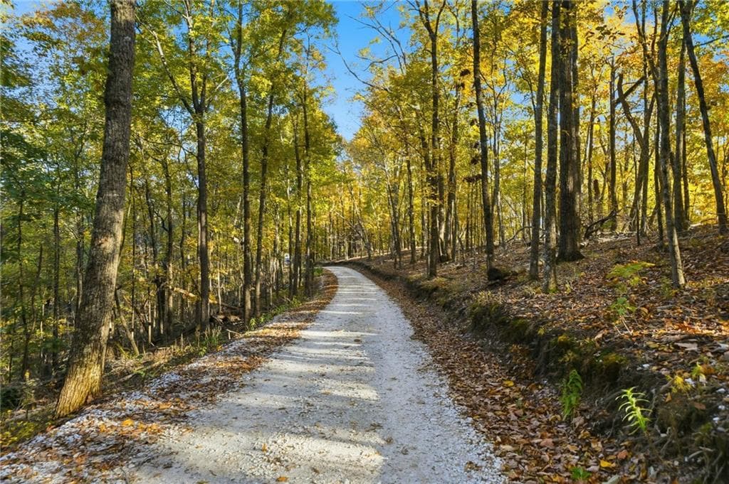 other under contract at 1500 Sunset Trail, Talking Rock, GA 30175 — photo 6