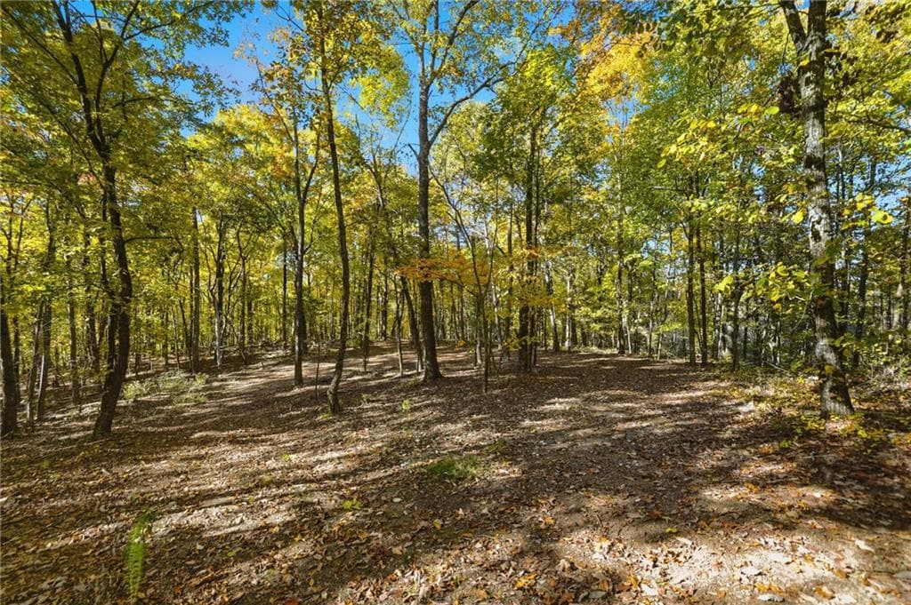 other under contract at 1500 Sunset Trail, Talking Rock, GA 30175 — photo 8