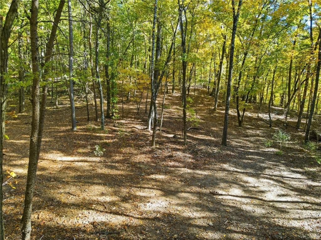 other under contract at 1500 Sunset Trail, Talking Rock, GA 30175 — photo 9
