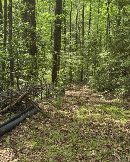 single family residence under contract at 348 Hemlock Trail, Ellijay, GA 30540