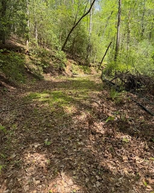 single family residence under contract at 348 Hemlock Trail, Ellijay, GA 30540 — photo 3
