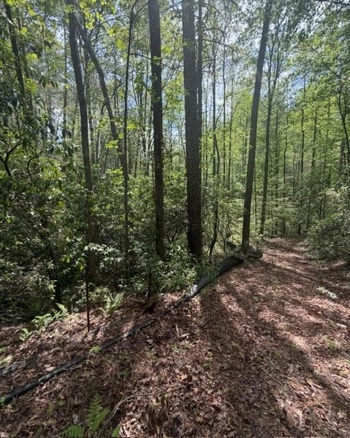 single family residence under contract at 348 Hemlock Trail, Ellijay, GA 30540 — photo 5