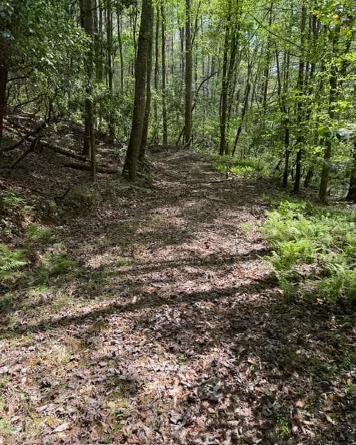 single family residence under contract at 348 Hemlock Trail, Ellijay, GA 30540 — photo 6