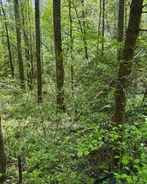 single family residence under contract at 348 Hemlock Trail, Ellijay, GA 30540 — photo 7