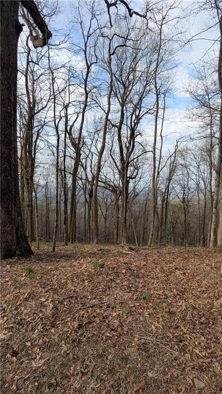single family residence for sale at 7188 Ridgeview Drive, Big Canoe, GA 30143 — photo 8