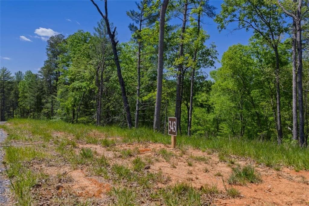 single family residence for sale at LT 343 Shallow Branch Drive, Talking Rock, GA 30175 — photo 2