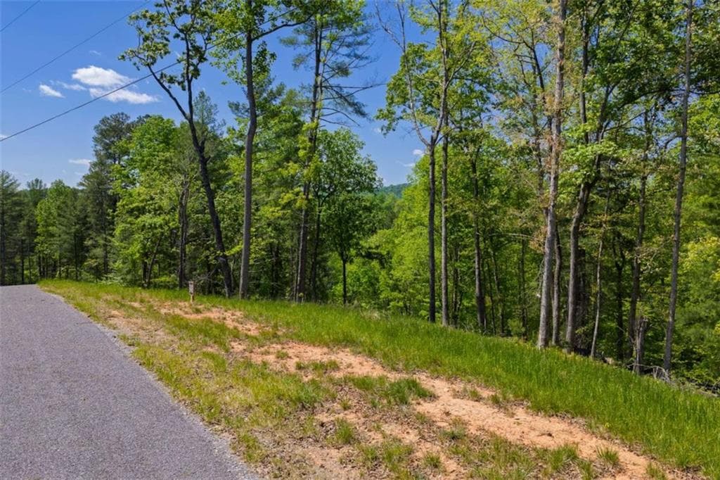 single family residence for sale at LT 343 Shallow Branch Drive, Talking Rock, GA 30175 — photo 3