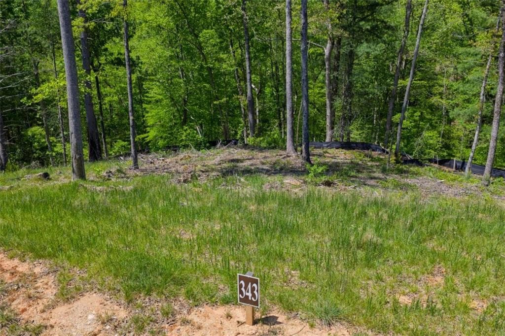 single family residence for sale at LT 343 Shallow Branch Drive, Talking Rock, GA 30175 — photo 4
