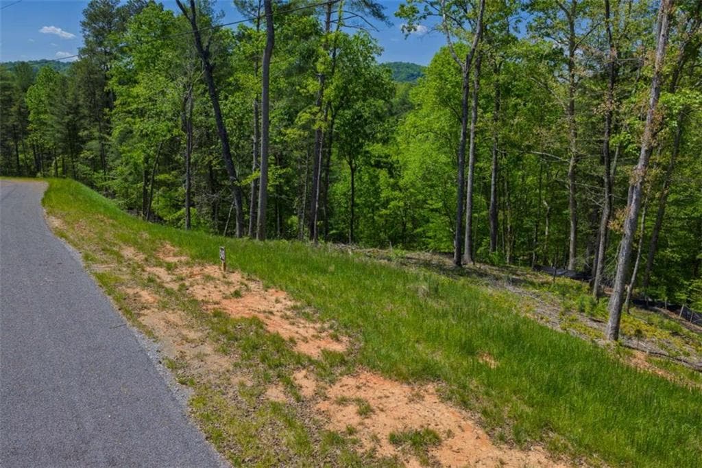 single family residence for sale at LT 343 Shallow Branch Drive, Talking Rock, GA 30175 — photo 5