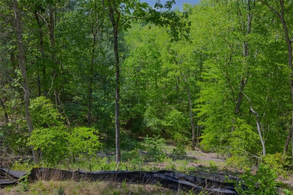 single family residence for sale at LT 343 Shallow Branch Drive, Talking Rock, GA 30175 — photo 6