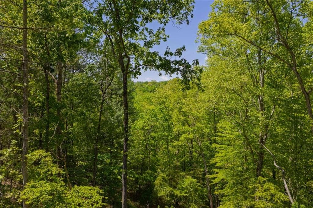 single family residence for sale at LT 343 Shallow Branch Drive, Talking Rock, GA 30175 — photo 7