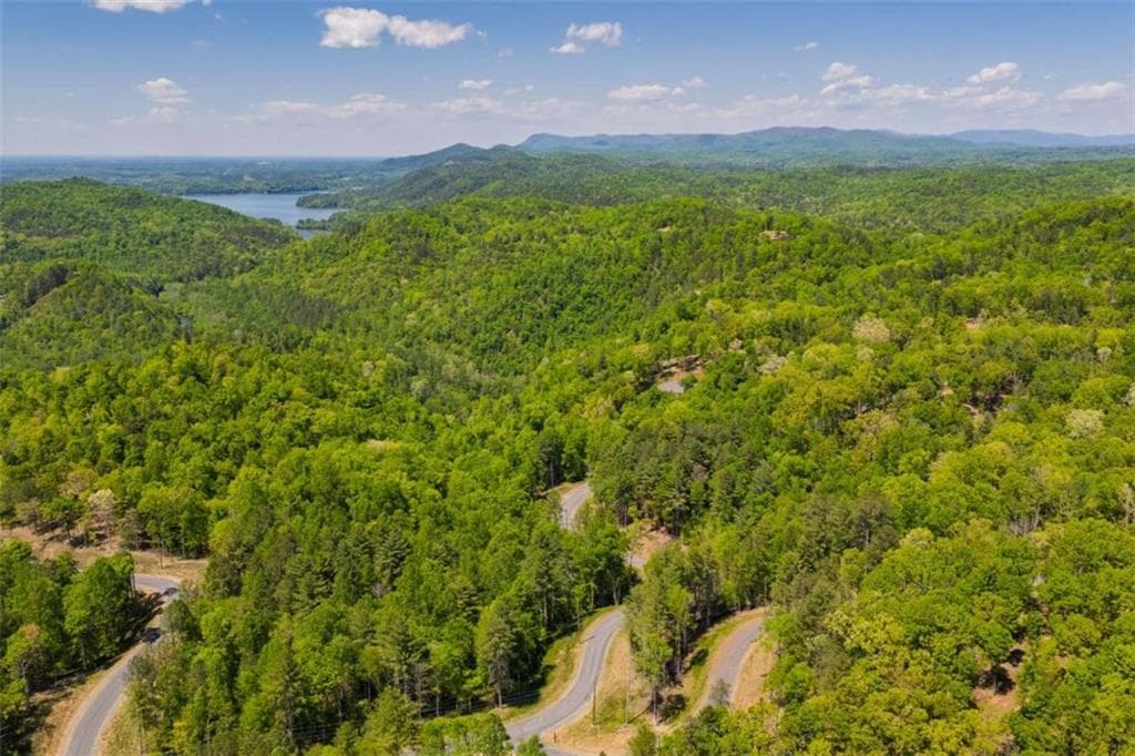 single family residence for sale at LT 343 Shallow Branch Drive, Talking Rock, GA 30175 — photo 9