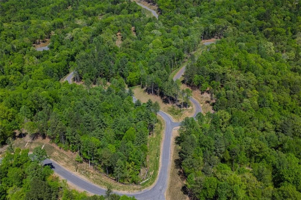 single family residence for sale at LT 343 Shallow Branch Drive, Talking Rock, GA 30175 — photo 10
