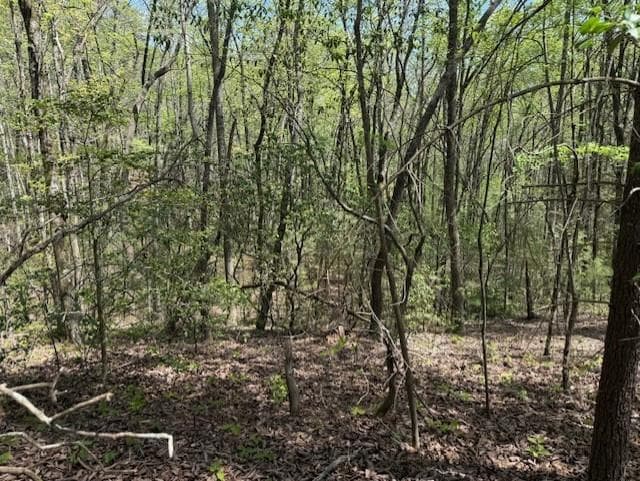 other for sale at Lot 5 Marjorie Ave, Ellijay, GA 30536 — photo 2