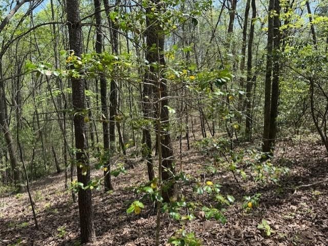 other for sale at Lot 5 Marjorie Ave, Ellijay, GA 30536 — photo 3