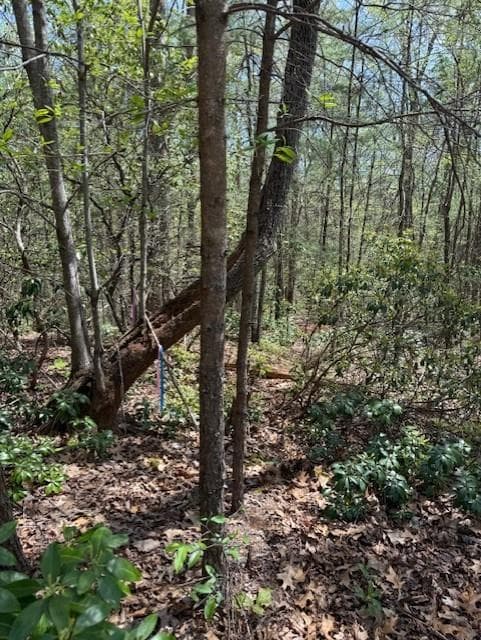 other for sale at Lot 5 Marjorie Ave, Ellijay, GA 30536 — photo 4