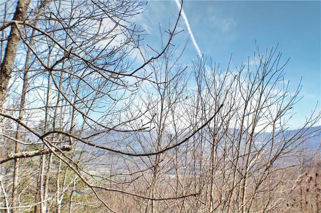 unimproved land for sale at 0 157 Highway, Rising Fawn, GA 30738 — photo 3