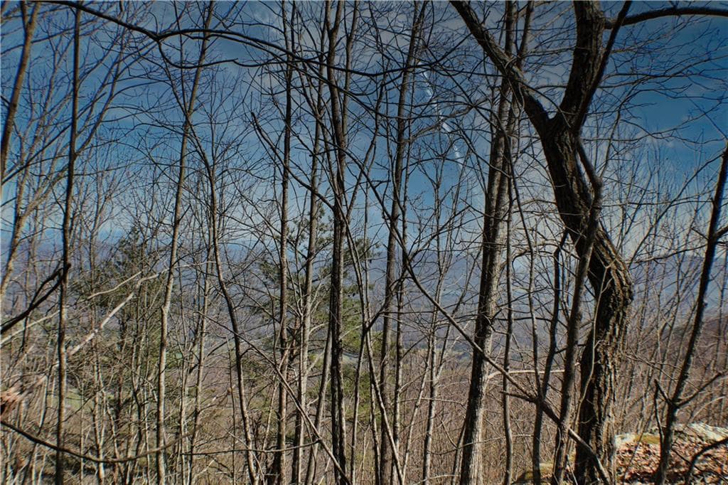 unimproved land for sale at 0 157 Highway, Rising Fawn, GA 30738 — photo 4