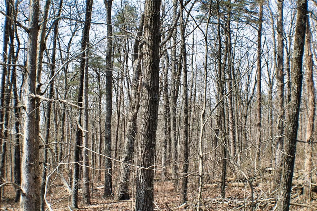 unimproved land for sale at 0 157 Highway, Rising Fawn, GA 30738 — photo 8