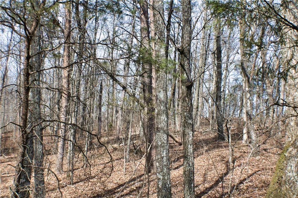 unimproved land for sale at 0 157 Highway, Rising Fawn, GA 30738 — photo 9