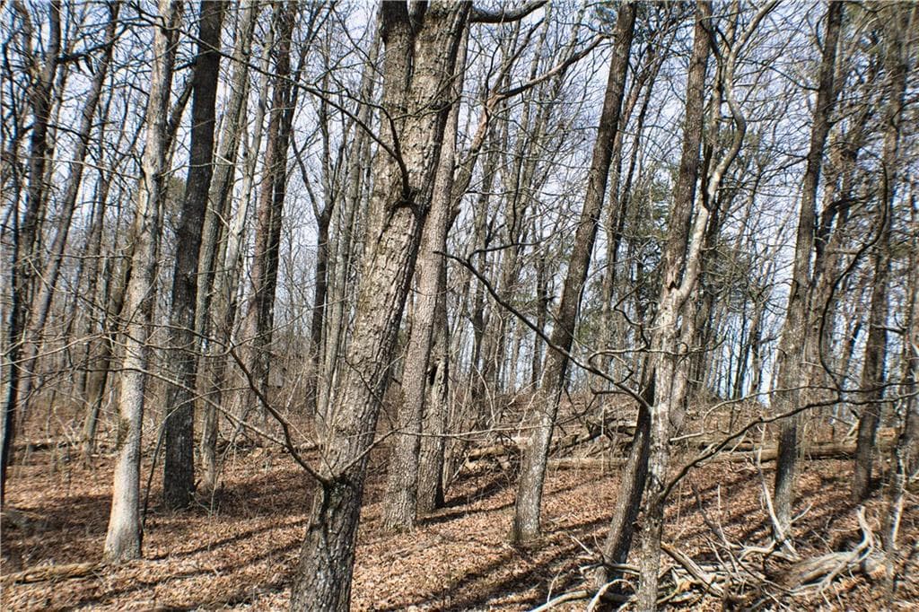 unimproved land for sale at 0 157 Highway, Rising Fawn, GA 30738 — photo 10